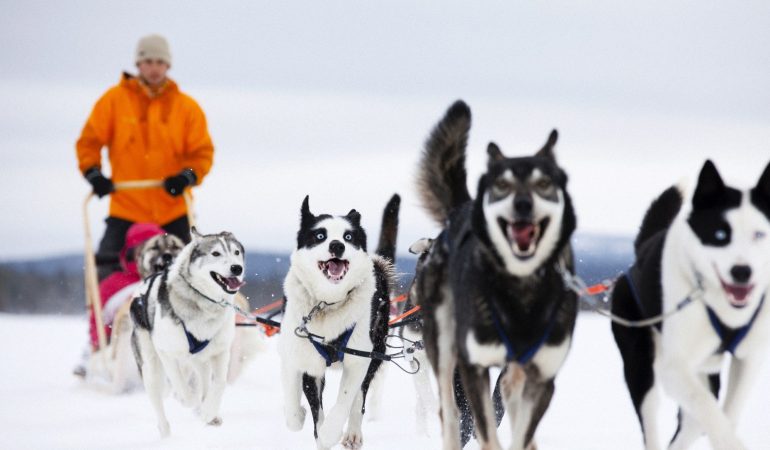 Großer Feiertag für Finnland