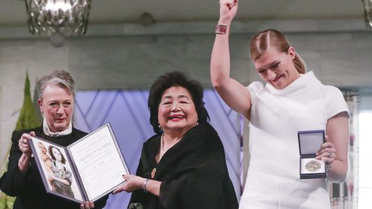 Friedenspreis für Waffengegner