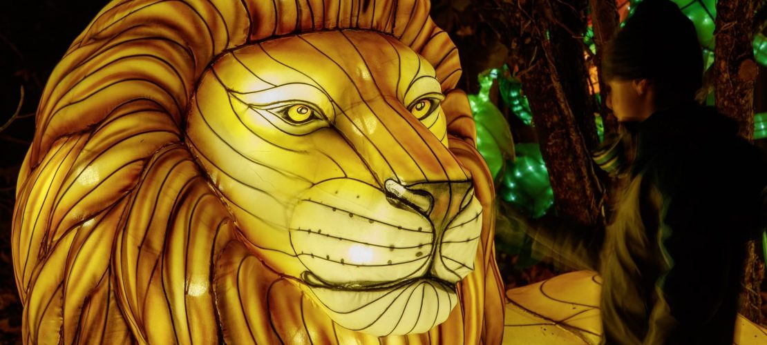 Raus hier: Zirkus, Kino und leuchtende Tiere