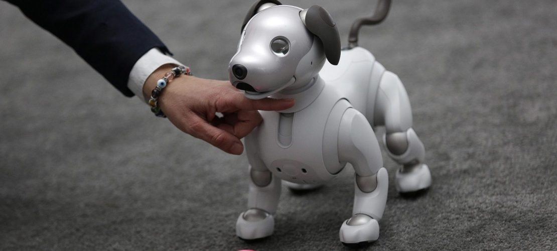 Roboterhund muss noch lernen