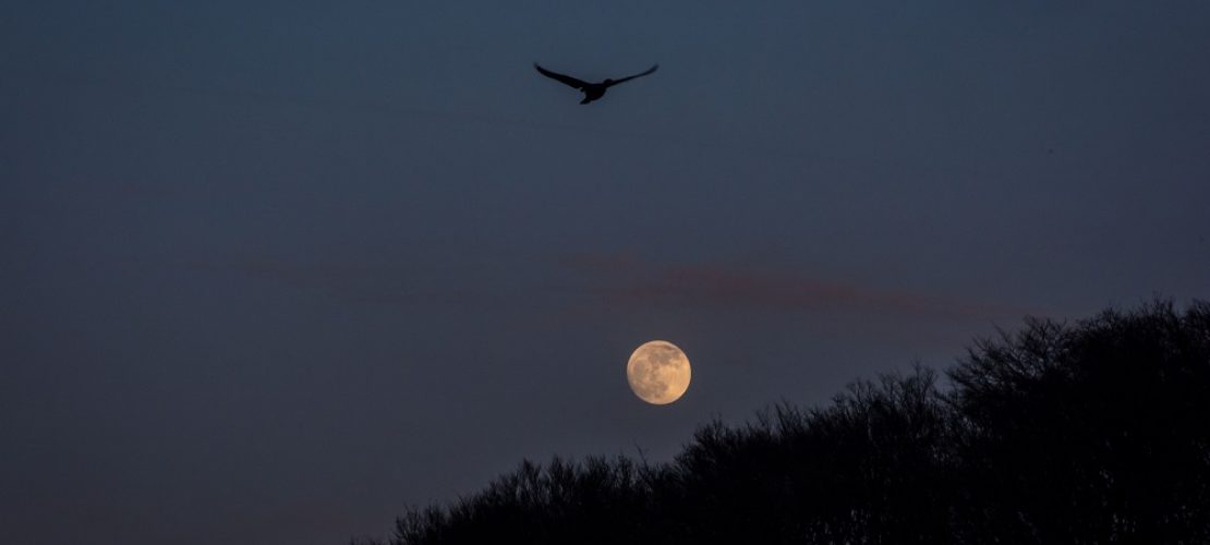 Der Supermond leuchtet
