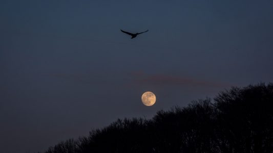 Der Supermond leuchtet