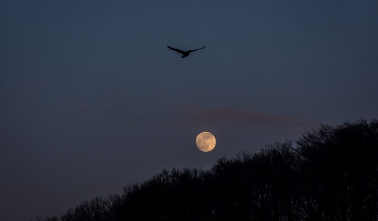 Der Supermond leuchtet