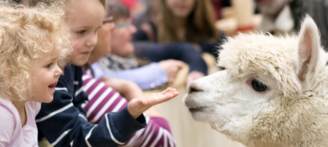 ARCHIV - Hannah (l, 2) und Carl (5) aus Berlin streicheln am 25.01.2015 bei der Grünen Woche in Berlin ein Lama. (Foto: dpa)