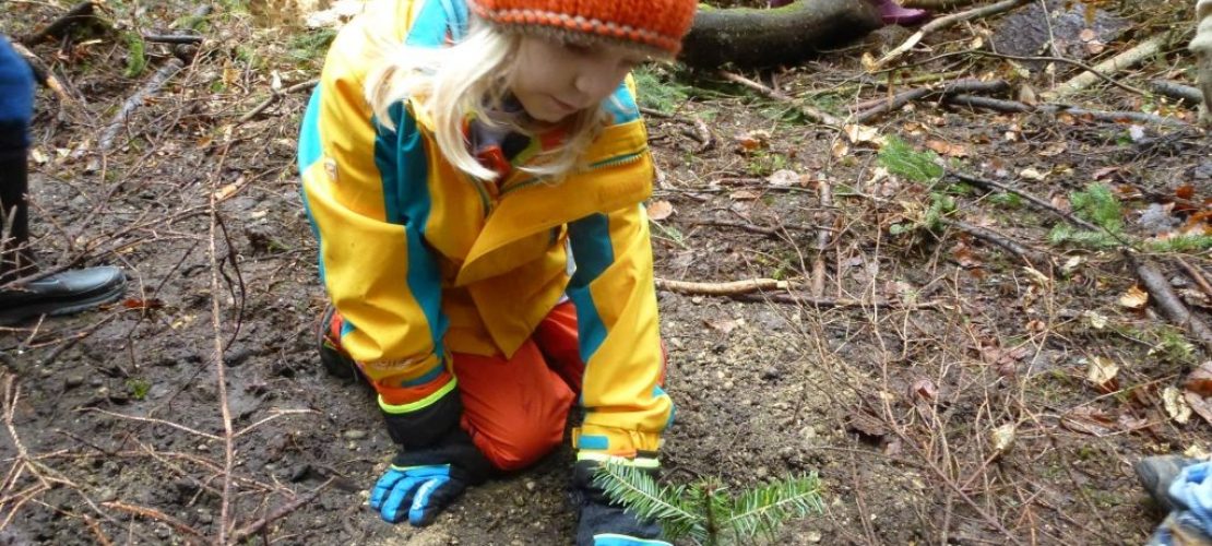 Ein Mädchen pflanzt einen kleinen Baum. Plant for Planet organisiert viele Veranstaltungen, bei denen Kinder mehr über Bäume und das Klima erfahren. (Foto: Plant for the Planet)