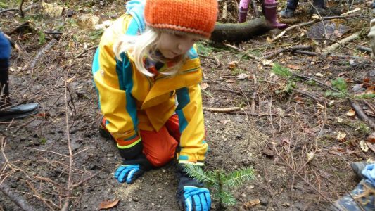 Ein Mädchen pflanzt einen kleinen Baum. Plant for Planet organisiert viele Veranstaltungen, bei denen Kinder mehr über Bäume und das Klima erfahren. (Foto: Plant for the Planet)