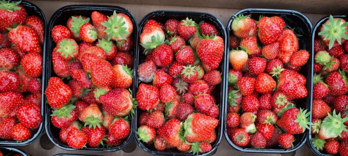 Sie schmecken wässrig, sind mit Pestiziden belasten und schaden der Umwelt: importierte Erdbeeren. .(Foto: dpa)