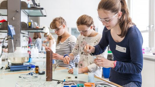 Mädchen im Labor - Nur langsam trauen sich Mädchen auch in klassische Männerberufe. Gut so, denn die Bedingungen sind dort viel besser. (Foto: Kompetenzzentrum Technik-Diversity-Chancengleichheit e.V.)