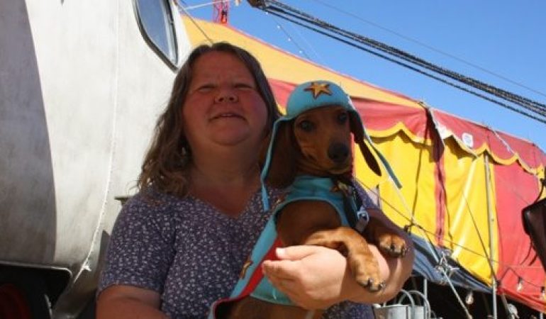 So werden Filmtiere trainiert