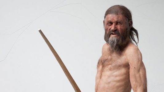 Ötzi gibt immer noch Rätsel auf