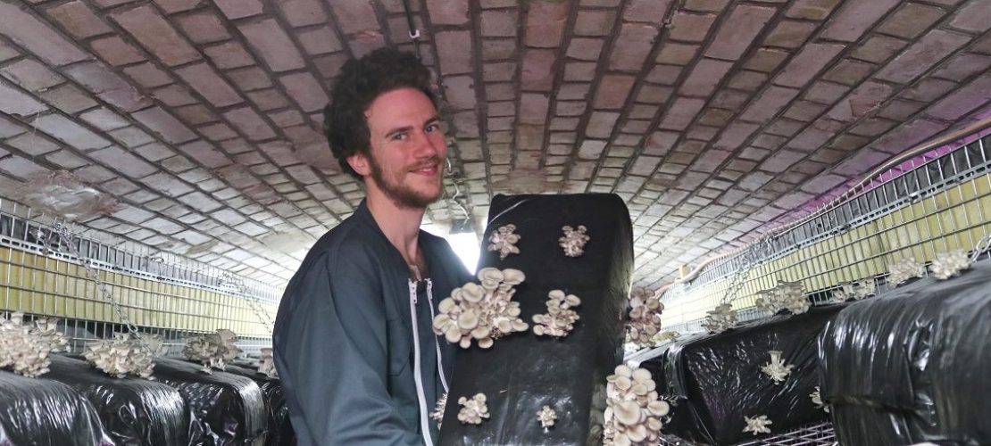 Der Landwirt Raphael Maret zeigt selbstgezüchtete Pilze in einer alten preußischen Militäranlage. (Foto: dpa)