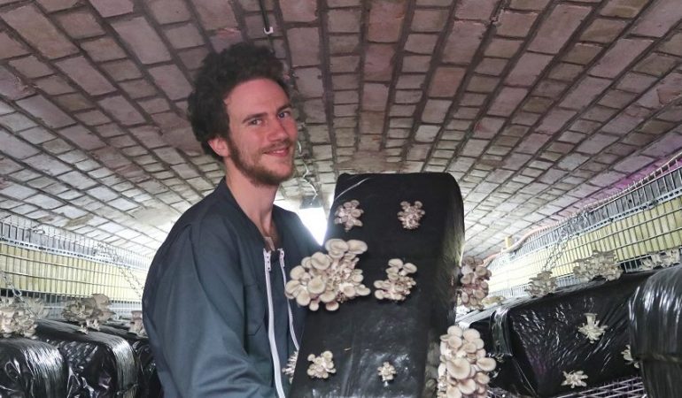 Der Landwirt Raphael Maret zeigt selbstgezüchtete Pilze in einer alten preußischen Militäranlage. (Foto: dpa)