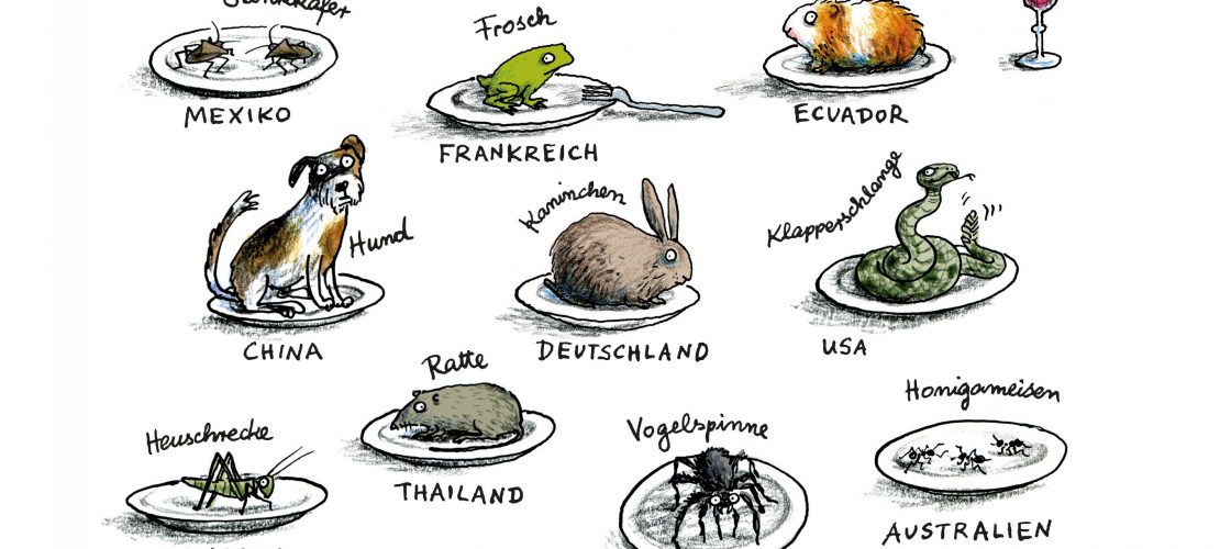 Das ist unser junges Buch für die Stadt: 