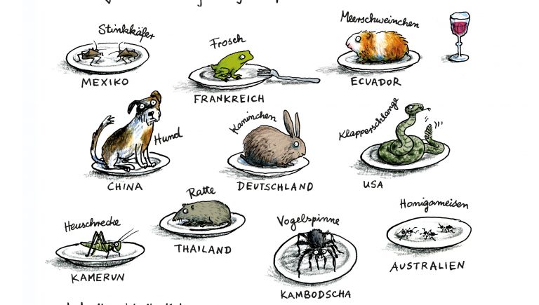 Das ist unser junges Buch für die Stadt: "Alles lecker!" von Alexandra Maxeiner und Anke Kuhl. (Foto: Anke Kuhl / Klett Kinderbuch, 2012)