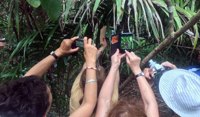 Viele Touristen wollen unbedingt ein Foto von einem Koboldmaki machen. (Foto: Christoph Sator/dpa)