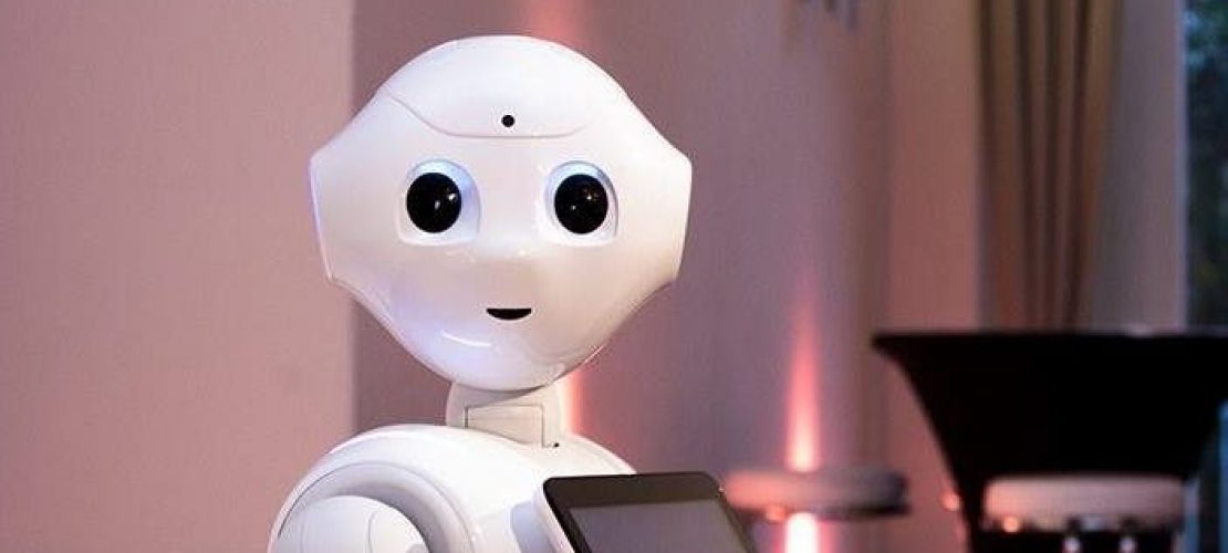 “Kann es gefährlich werden, wenn jeder einen Roboter hat?”
