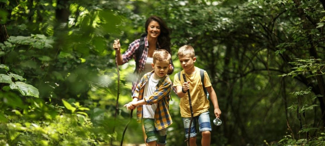 SolisImages – Fotolia.de