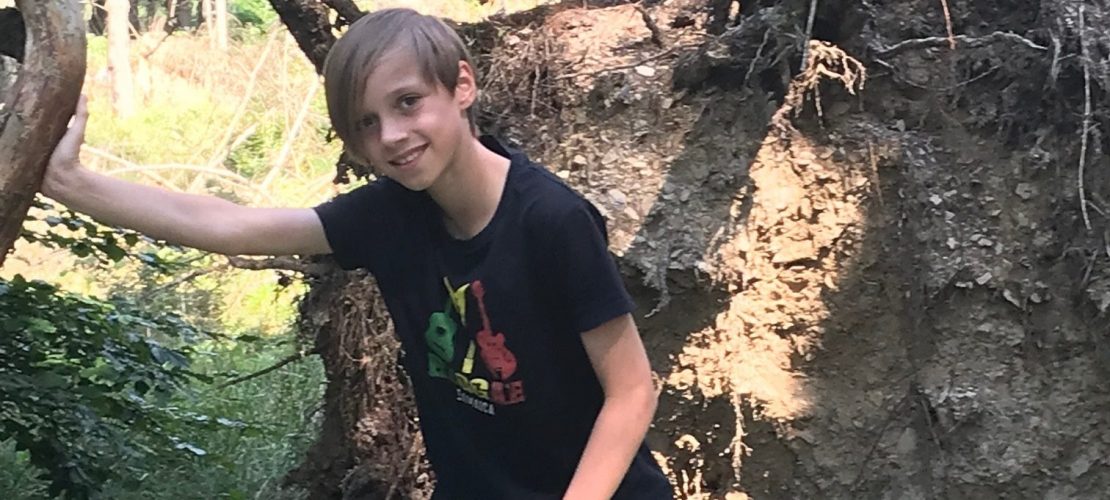 Umgefallene Bäume, Wildnis und Natur - auf dem Wilden Kermeter fühlt sich Fritz pudelwohl.