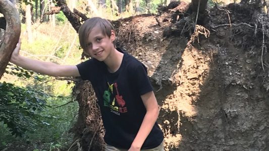 Umgefallene Bäume, Wildnis und Natur - auf dem Wilden Kermeter fühlt sich Fritz pudelwohl.