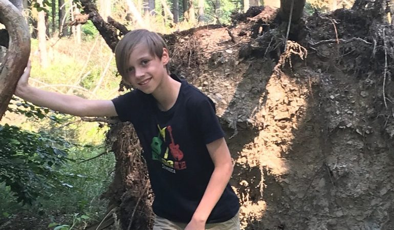 Umgefallene Bäume, Wildnis und Natur - auf dem Wilden Kermeter fühlt sich Fritz pudelwohl.