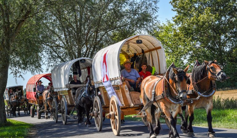 Diese Pferdetreck sorgt für Aufmerksamkeit - das ist auch gut so! (Foto: dpa)