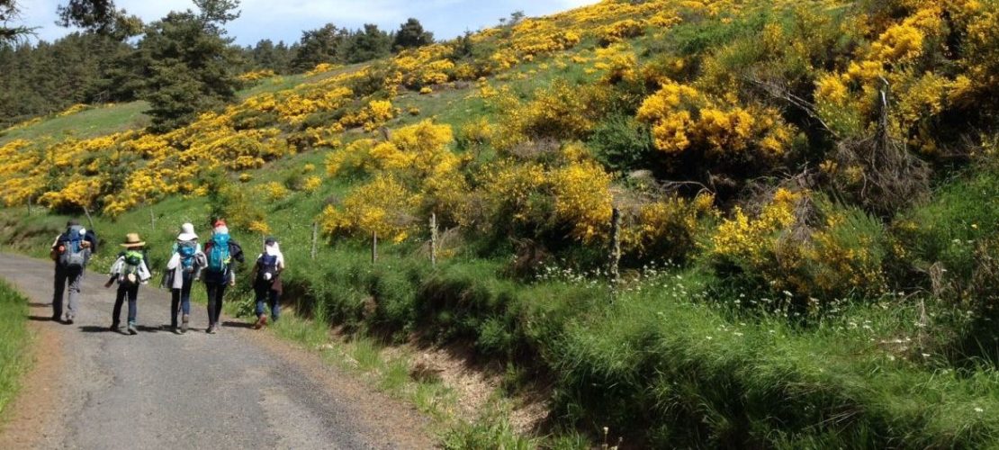 Wer so lange Strecken mit einfachen Mitteln zurücklegen will, braucht ganz schön viel Disziplin. (Foto: Kinderreporterin Medi)