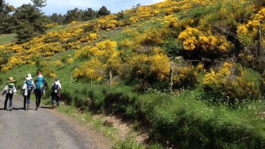 Wer so lange Strecken mit einfachen Mitteln zurücklegen will, braucht ganz schön viel Disziplin. (Foto: Kinderreporterin Medi)