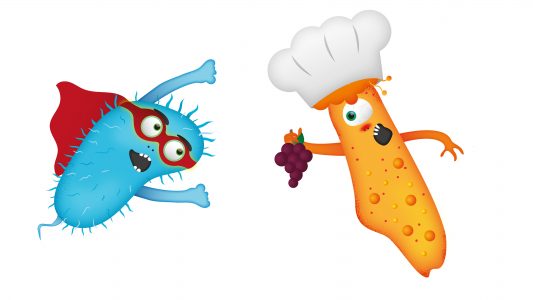 Bakterien – klein aber oho!