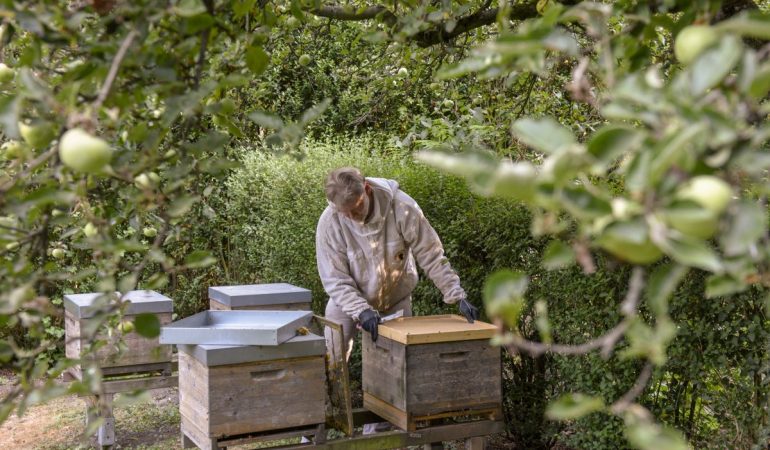 Ralf Heipmann bei seinen Völkern im Lentpark in Köln. (Foto: Uwe Weiser)