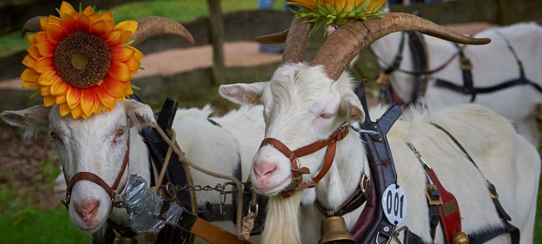 (Foto: LVR Freilichtmuseum Kommern)