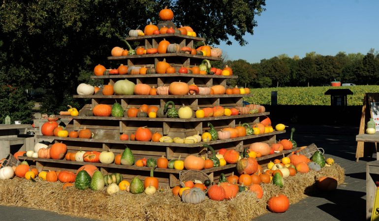 Bitte, danke, „Duda“