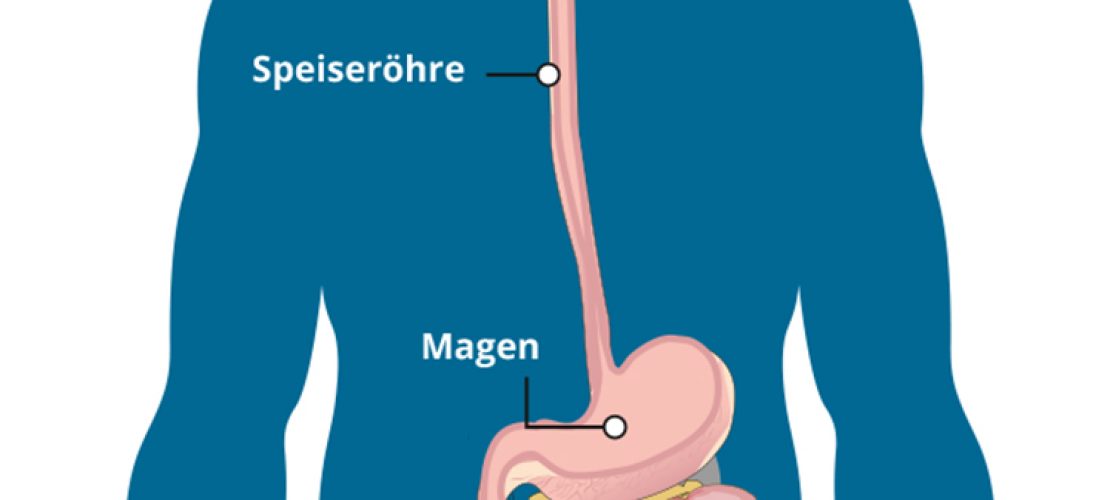Der Weg unseres Essens
