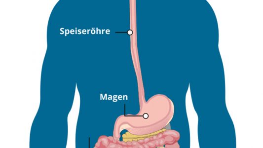 Der Weg unseres Essens