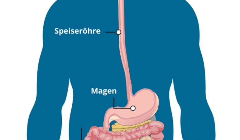 Der Weg unseres Essens