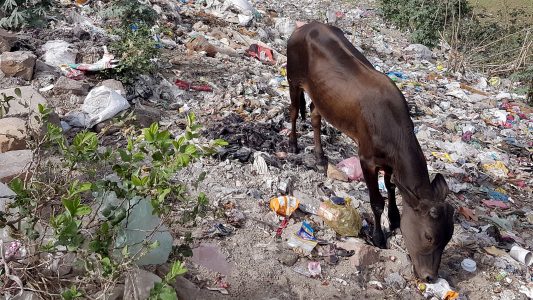 „Zero Waste“ – was bedeutet das?