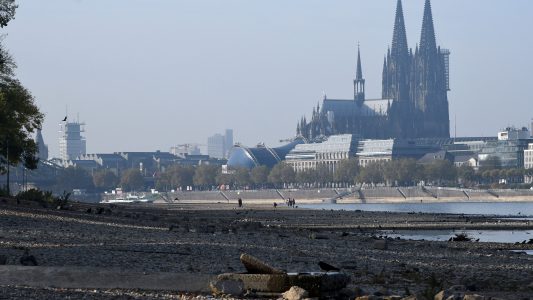 So niedrig war der Rhein noch nie