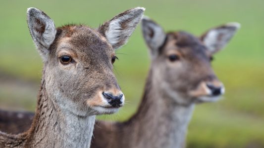 5 Freizeit-Tipps fürs Wochenende und die Woche