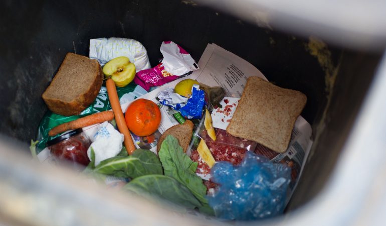 Unterwegs im Müll gelandet