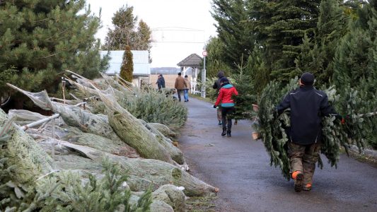 Plätzchen backen und Gutes tun