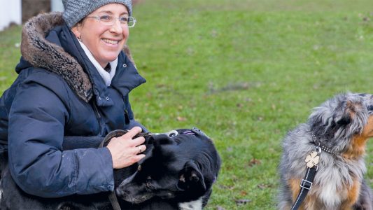 Wuff wuff … Miau – Zu Besuch im Tierheim