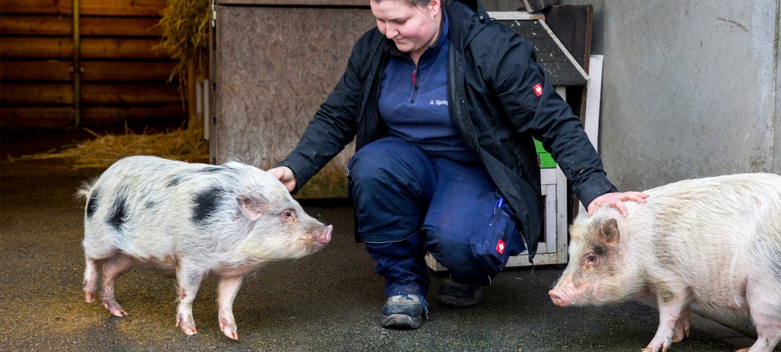 Ein Tag im Tierheim