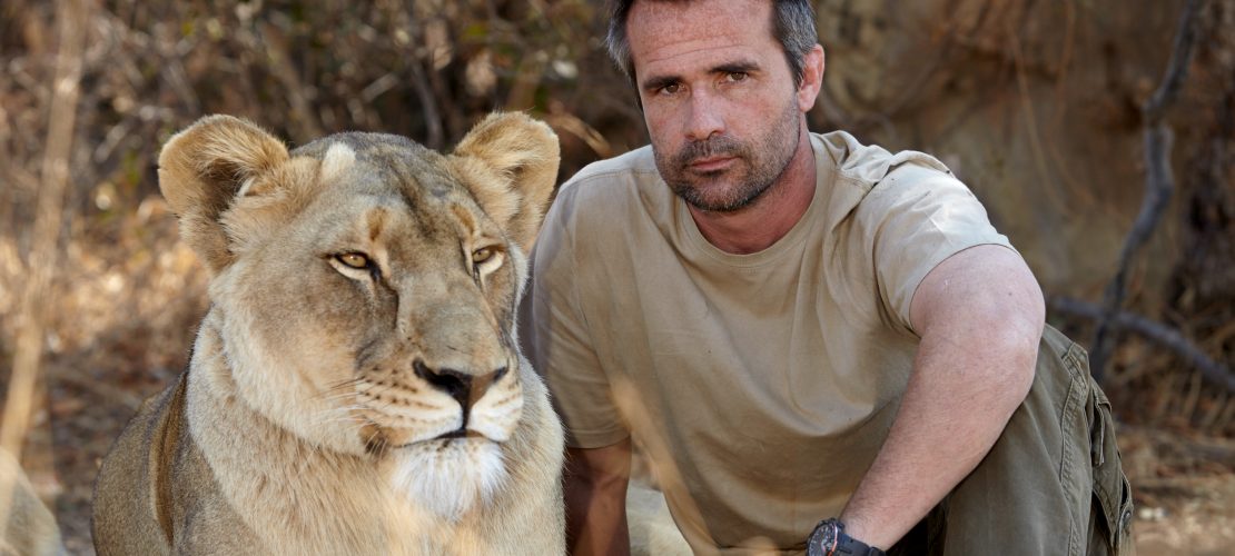 Den König der Tiere als besten Freund