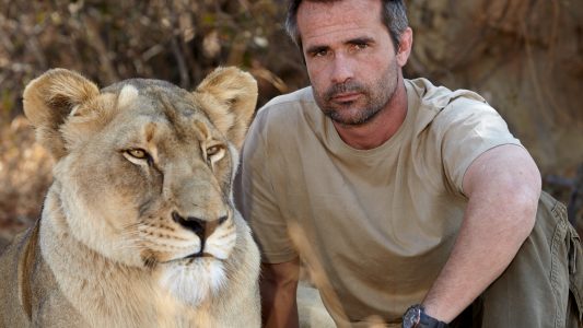 Den König der Tiere als besten Freund