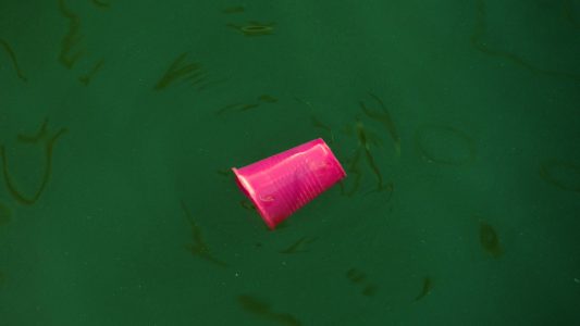Ein Meer aus Plastik