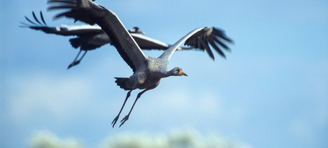Zurück aus dem Winterquartier