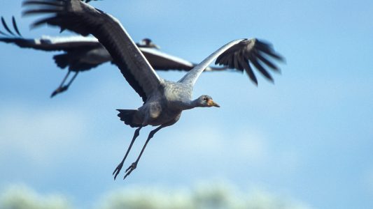 Zurück aus dem Winterquartier