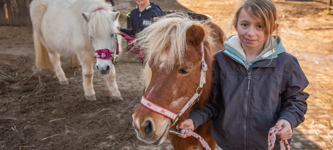 Trippel Trappel Trippel Trappel Pony