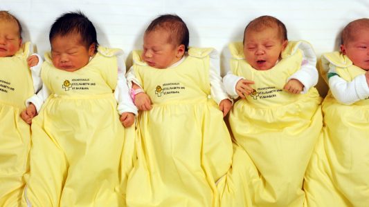 Von Östrogen und Testosteron