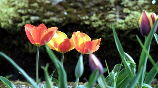 Ist es nicht schön bunt draußen?