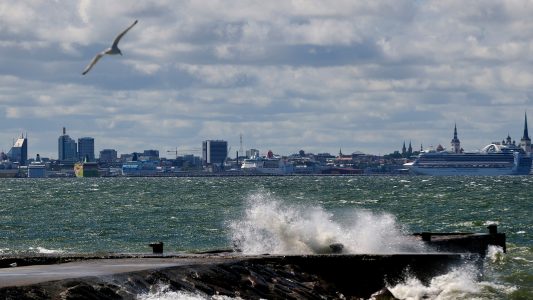 Hoch im Norden – Estland